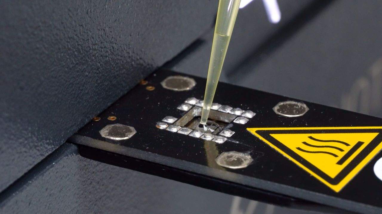 Sample Liquid in Pipette