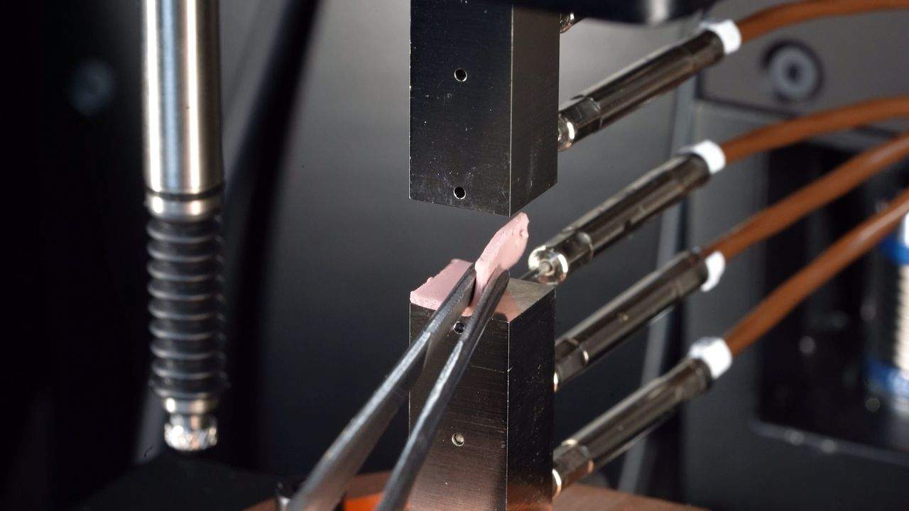 TIMA5 Sample Placement